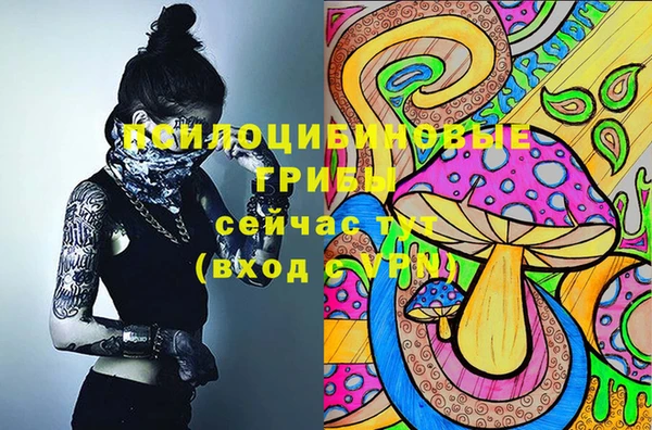 соль ск Верхнеуральск
