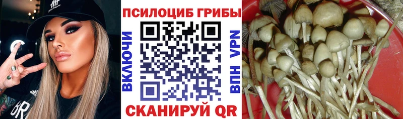 Псилоцибиновые грибы Psilocybine cubensis  купить   Альметьевск 