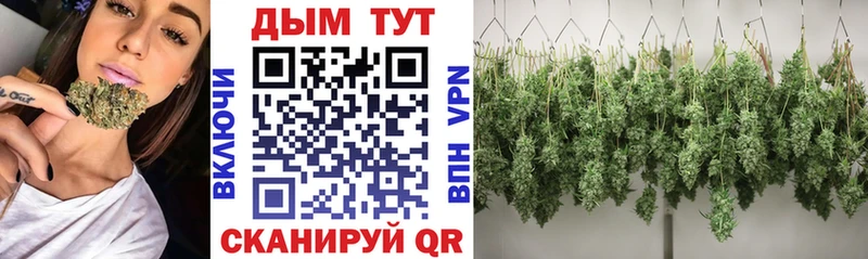 это официальный сайт  Альметьевск  Бошки марихуана конопля 